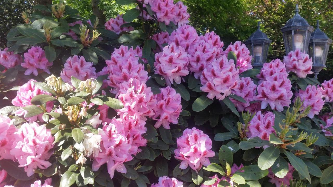Ferienwohnung Morgensonne 웨스터스테드 외부 사진