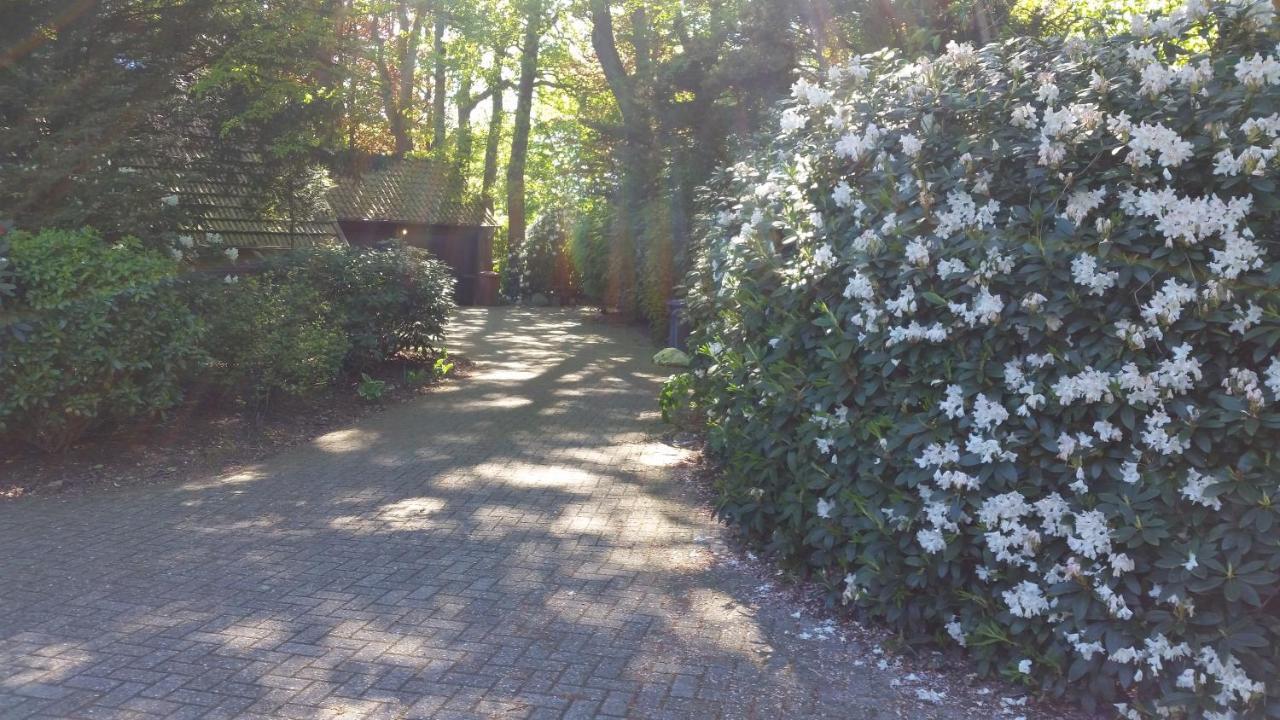 Ferienwohnung Morgensonne 웨스터스테드 외부 사진