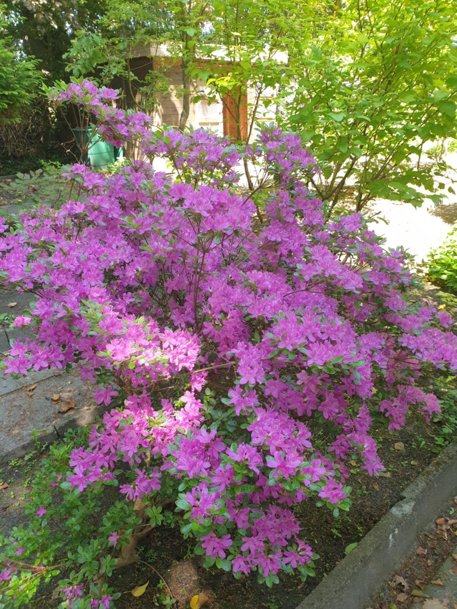 Ferienwohnung Morgensonne 웨스터스테드 외부 사진