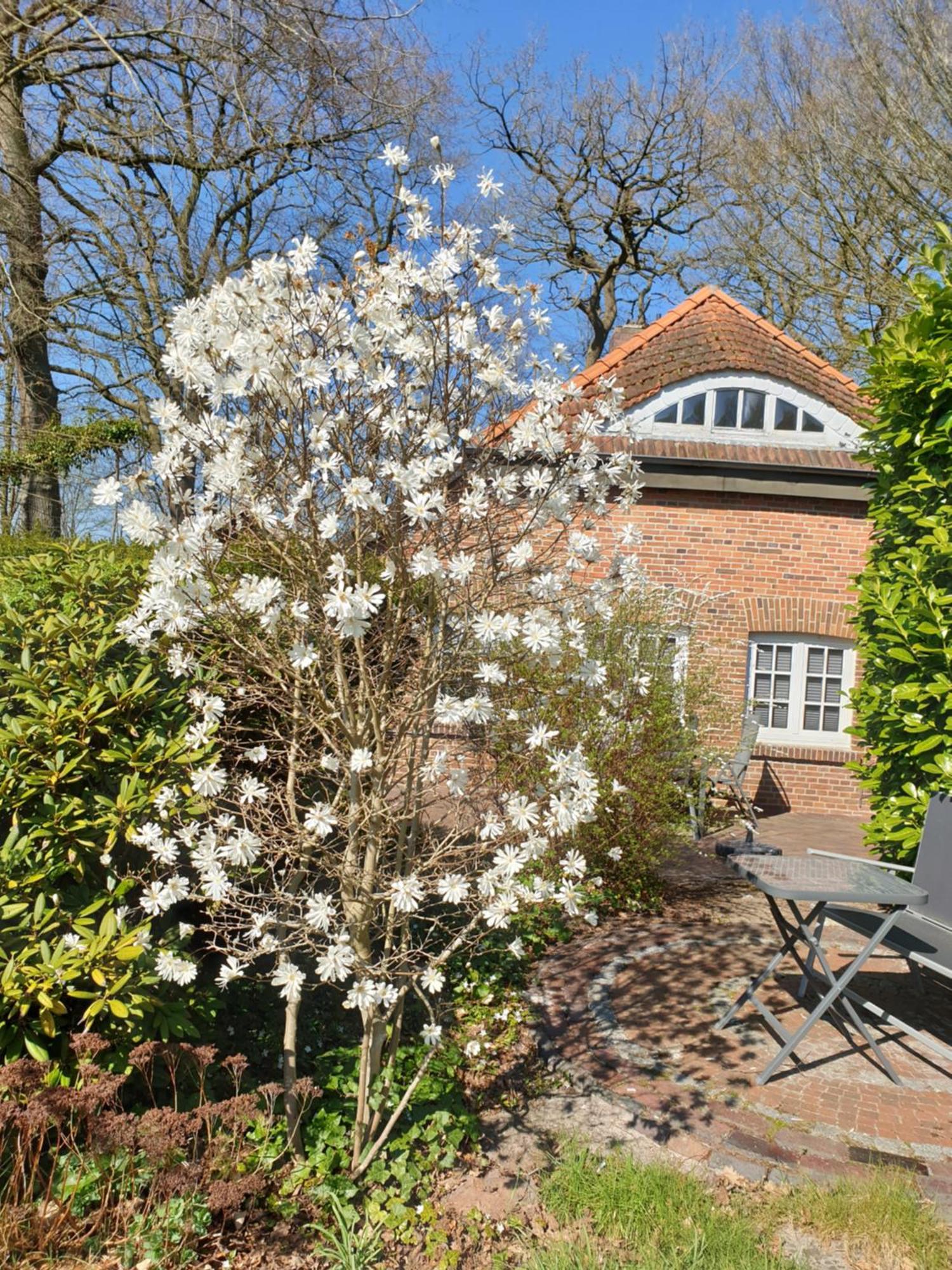 Ferienwohnung Morgensonne 웨스터스테드 외부 사진